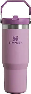 STANLEY IceFlow Stainless Steel Tumbler with Straw, Vacuum Insulated Water Bottle for Home, Office or Car, Reusable Cup with Straw Leak Resistant Flip