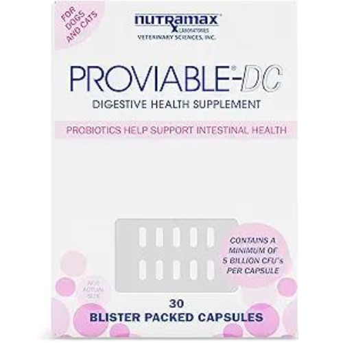 Proviable Digestive Health Supplement Multi-Strain Probiotics and Prebiotics for Cats and Dogs - With 7 Strains of Bacteria, 30 Capsules